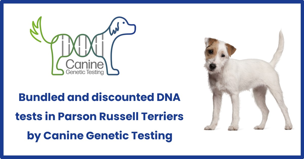 How Much Does Testing Cost For Dogs