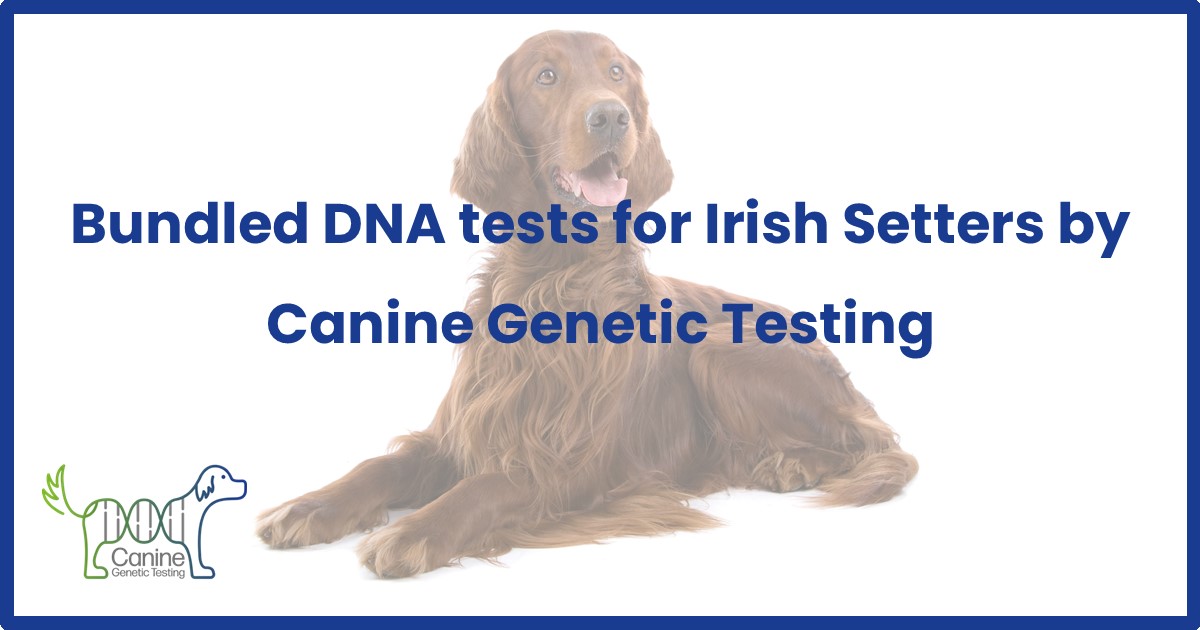 Irish Setter Bundle Canine Testing