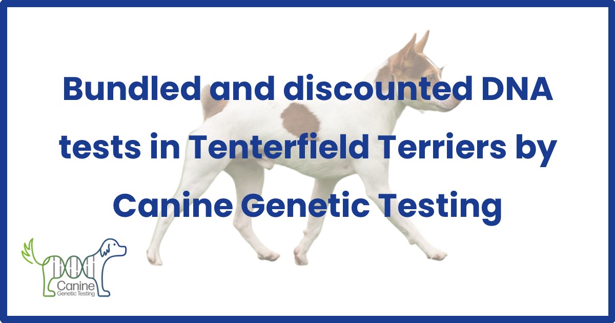 Illustration of Canine Genetic Training Programs