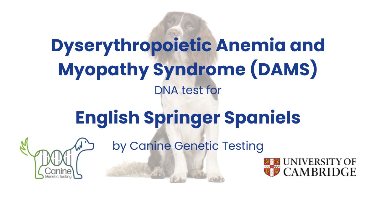 Dyserythropoietic Anemia and Myopathy Syndrome (DAMS) Canine
