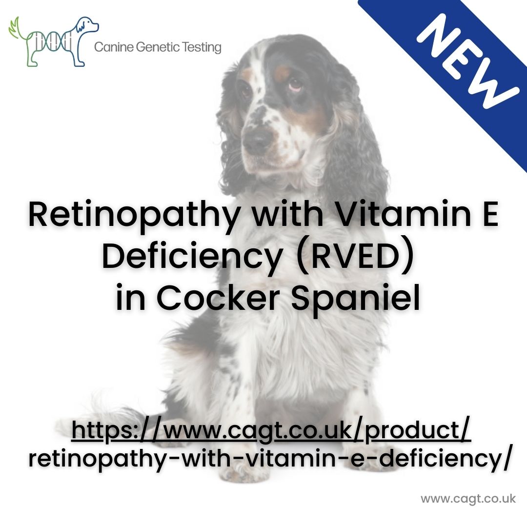 Retinopathy with Vitamin E Deficiency | Canine Genetic Testing